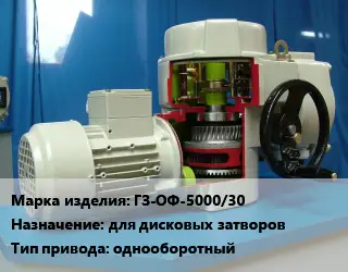 Электропривод ГЗ-ОФ-5000/30 для дисковых затворов однооборотный